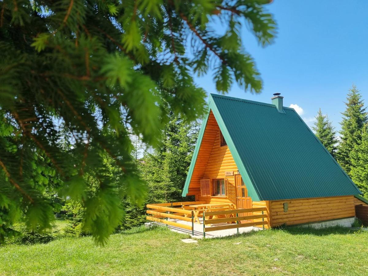 Hedonist Village Žabljak Exteriör bild