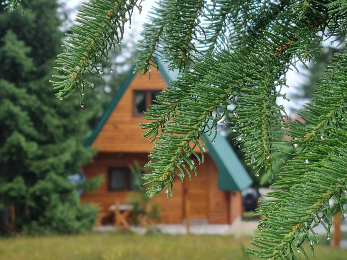 Hedonist Village Žabljak Exteriör bild